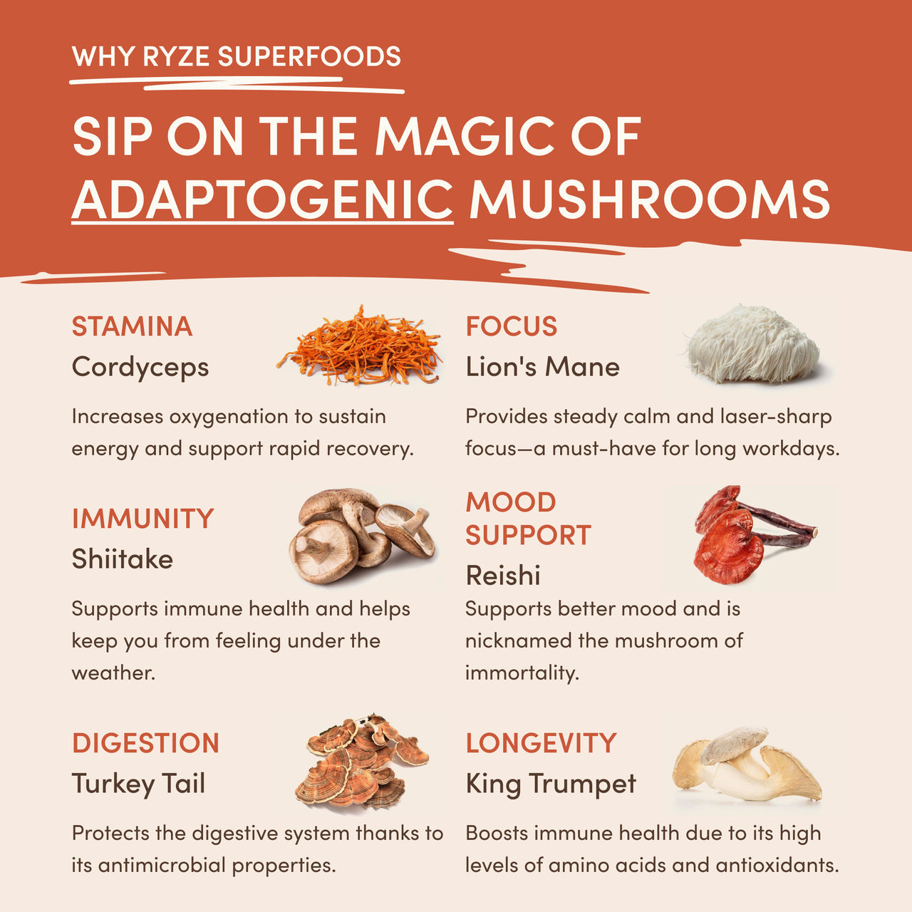 Ryze Mushroom Coffee Pack of 2 - Clearance Sale